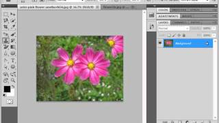 Photoshop CS5 Tutorial The Clone Stamp Tool Adobe Training Lesson 1415 [upl. by Ardolino987]