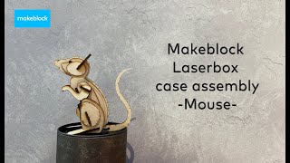 Makeblock laserbox case assembly Mouse [upl. by Egiarc]