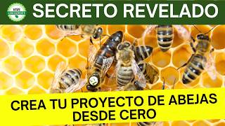 Cómo Empezar tu Propio Proyecto de Abejas Paso a Paso [upl. by Dammahom]