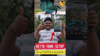 BETTA FISH 🐠 TANK SETUP IN COFFEE MAKER ☕ DIY  jeelanivlogger aquarium tanksetup [upl. by Ardnohsed]