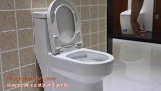 luxury rimless toilet wc for bathroom [upl. by Ahsirk]