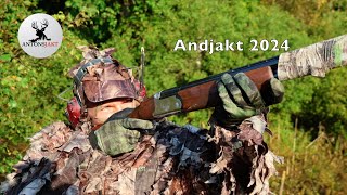 Andjakt 2024 I Antonsjakt [upl. by Danieu296]