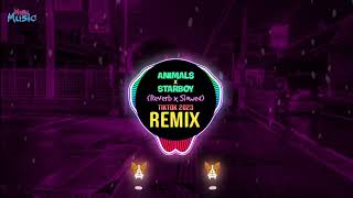 Animals x Starboy Slowed To Perfection DJ抖音版 Tiktok Remix 2023  Hot Tiktok Douyin [upl. by Aizatsana422]