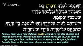 Vahavta  Prayer Video  Cantor Ross Wolman [upl. by Clayson]