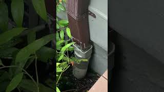 Summit Downspout Not Correctly Attached to Drainpipe [upl. by Nerual]