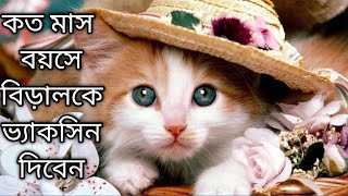 বিড়ালকে কত মাস বয়সে ভ্যাকসিন দিবেন।। Cat vaccination in 2024 [upl. by Ulphi918]