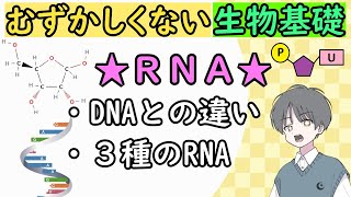 【生物基礎】RNA ～遺伝子発現の名助演者～【初心者でも分かる】めたもる高校生物 [upl. by Airbas]