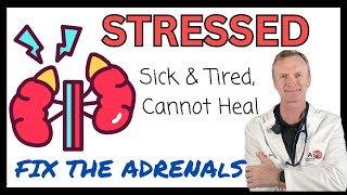 ADRENAL TREATMENT TO HELP THE BODY HEAL FASTER 144  httpsdrstephenstokescom [upl. by Idnor]