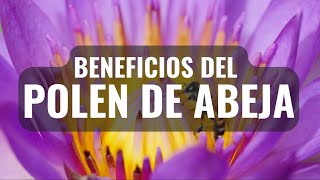 7 BENEFICIOS DEL POLEN DE ABEJA PARA LA SALUD [upl. by Nedi709]