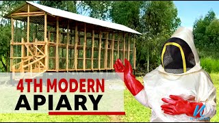 Inside the 4th Modern Apiary  Modern Bee Keeping [upl. by Amlez330]