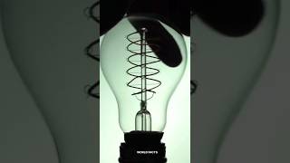 Filament Bulb science sciencefacts [upl. by Akinahs]