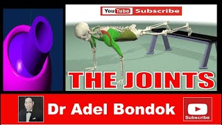 Anatomy of the Joints Dr Adel Bondok [upl. by Yllus362]