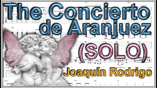 The Concierto de Aranjuez by Joaquín Rodrigo [upl. by Fry]