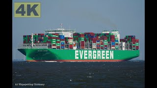 EVER MEED  Shipspotting Germany 🇩🇪 IMO 9935258  River Elbe near City Otterndorf  4K VIDEO [upl. by Hcirdeirf]