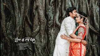 Wedding Highlight  Pradeep amp Saranya  Limelight Studio [upl. by Grimbal]