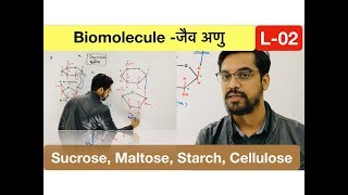 Biomolecule class 12 chemistry part 2 जैव अणु explained in hindi by ashish sir [upl. by Rosabelle292]