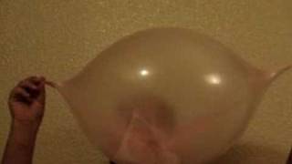 Guinness World Record Bubble Gum Blow 2 [upl. by Elleirda]