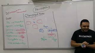 1 Hemoptotein Hemoglobin amp Myoglobin القصر العينى [upl. by Debbi]