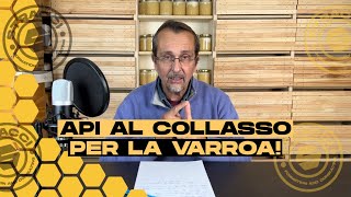 API AL COLLASSO per la Varroa la soluzione è solo una [upl. by Bugbee]