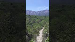 Ladera de montaña pájaros comechingones laschacras [upl. by Brade907]