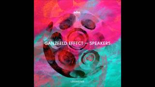 Ganzfeld Effect  Bitches Original Mix [upl. by Anelav]