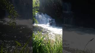 Cascada cerca del catedral Bariloche Argentina [upl. by Malchus]