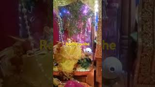 shortsviralhometempleradhakrishnayoutubevideotrending ekadsi spical 12 Nov 2024 [upl. by Elaval]