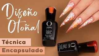 Diseño Otoñal  Técnica de Encapsulado  Organic Nails [upl. by Ylevol]