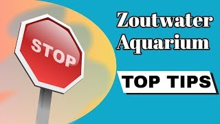 ZOUTWATER AQUARIUM tipsamptricks en aandachtspunten  Aquarium Sunshine Valley [upl. by Oirasan353]