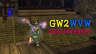 Guild Wars 2  Warrior Spellbreaker [upl. by Allehs]