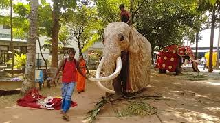 Elephant costumes for Kaduwela Rankadu Pattini Dewala Day Perahera of Sri Lanka elephant [upl. by Annahavas649]