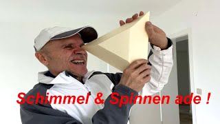 Schimmel in den Ecken unter der Decke vermeiden und Spinnen vertreiben [upl. by Enriqueta46]