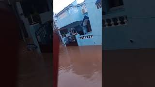 Fingal🌀cyclone pondicherrydecemberflood2024 [upl. by Muldon]