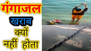 गंगाजल से जुड़े कुछ वास्तु उपायगंगाजलganga subscribebhaktiflute successasmusic06yt [upl. by Stillmann]