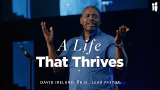 A Life That Thrives  David Ireland PhD 090824 [upl. by Niatsirk]