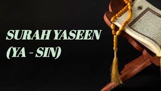 SURAH YASEEN YASIN PART 1154 [upl. by Ailaroc903]