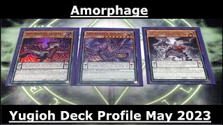 Amorphage Yugioh Deck Profile May 2023 [upl. by Dnalram]