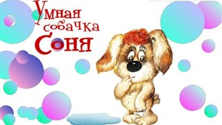 Умная Cобачка СОНЯ🐶 Собачка Соня Андрей Усачев Аудиосказки для детей Знаменитая собачка Соня [upl. by Hainahpez]