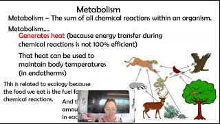 AP bio 82 Endotherms vs Ectotherms 82 Part 1 [upl. by Artinad]