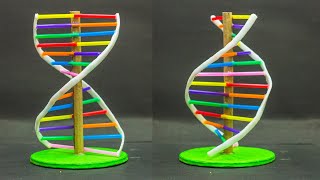 School Science Projects  DNA Model [upl. by Chak141]