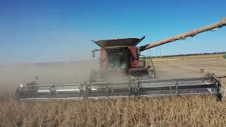 Harvesting Pioneer Z Series Soybeans From Corteva Agriscience [upl. by Orlene501]