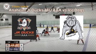 CAHA 16UAAA  Jr Ducks  Ice Dogs September 22 2024 [upl. by Georgie]