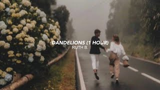 ruth b  dandelions 1 hour tiktok version I’m in a field of dandelions [upl. by Olyhs]