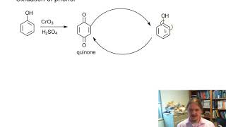 Oxidation of phenol [upl. by Arved]