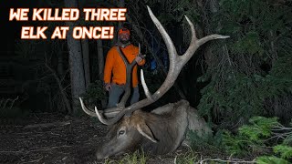 Mindblowing TRIPBULL Colorado Elk Adventure [upl. by Dunson]