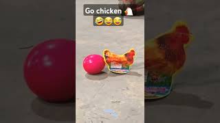 Go chicken 🐔 utubesubscribe utubeshorts utubeviral trendingshorts diwalispecial funnycomedy [upl. by Aimac242]