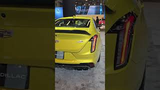 2024 Cadillac CT4V Blackwing spotted in stunning yellow at the 24 MTL Auto Show shorts [upl. by Tabitha546]