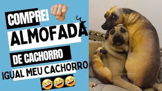 COMPREI ALMOFADA IGUAL AO MEU CACHORRO PARA O MEU CACHORRO E OLHA O QUE DEU 🤣🤣🤣 [upl. by Ettennil]