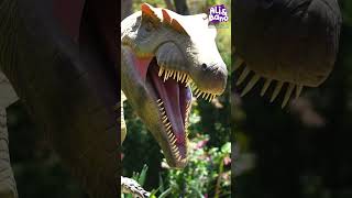 Dinosaurs educational for toddlers  Dinosaurs for preschoolers [upl. by Merth567]