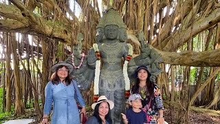 KAUAI HINDU MONASTERY amp SACRED FOREST [upl. by Ahsener658]